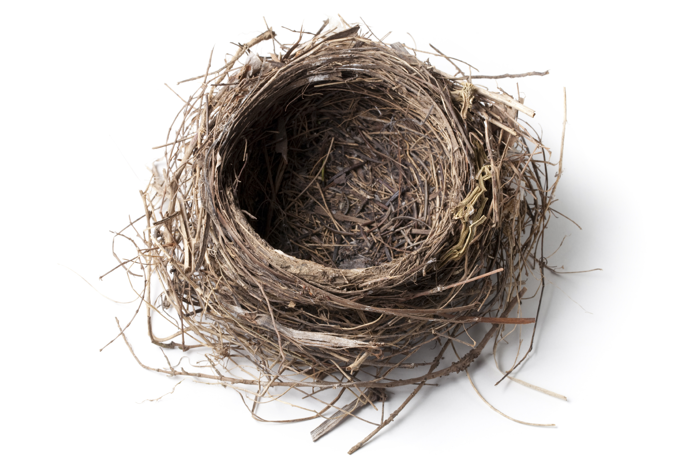 Reinforcing an empty nest | Health & Wellness Colorado