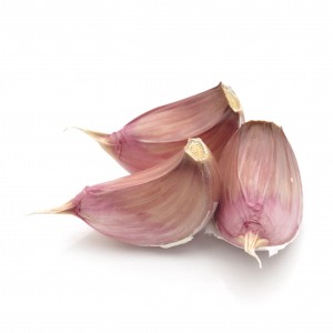 garlic spice herb